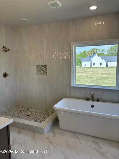 Bath - 5228 Crick Ln, Hernando, MS 38632 photo 3 of 6