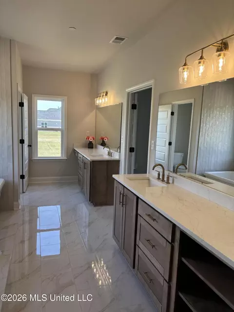Bath - 5228 Crick Ln, Hernando, MS 38632 photo 2 of 6