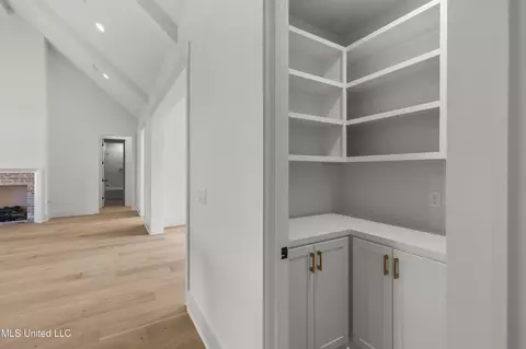 Entry Way - 104 Grayson Way, Madison, MS 39110 photo 1 of 5