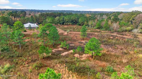 26 N Fox Run, Carriere, MS 39426