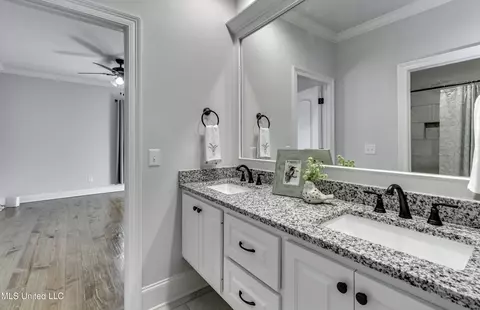 Bath - 169 Shore View Dr, Madison, MS 39110 photo 2 of 8