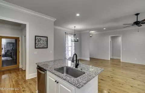 Other - 169 Shore View Dr, Madison, MS 39110 photo 3 of 13