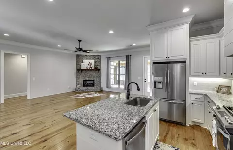 Other - 169 Shore View Dr, Madison, MS 39110 photo 4 of 13