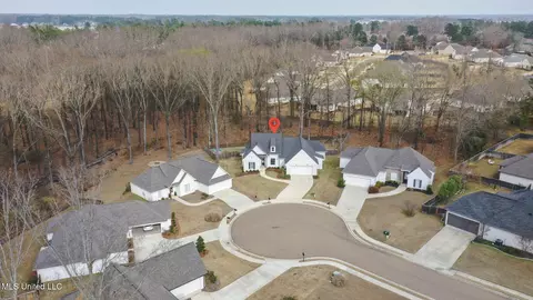 View/Area - 104 Shore View Cv, Madison, MS 39110 photo 1 of 5