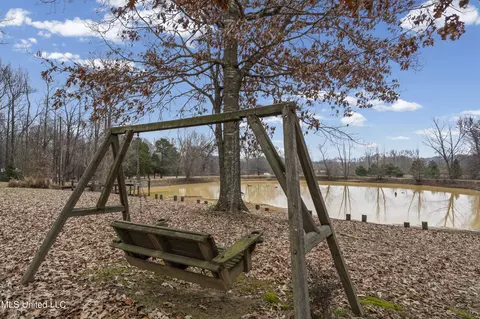 Exterior - 328 E Crockett Loop, Hernando, MS 38632 photo 7 of 8
