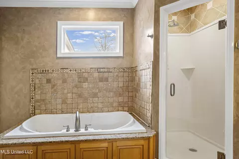 Bath - 328 E Crockett Loop, Hernando, MS 38632 photo 1 of 5