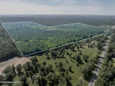 121 Acres Old Highway 49, Seminary, MS 39479