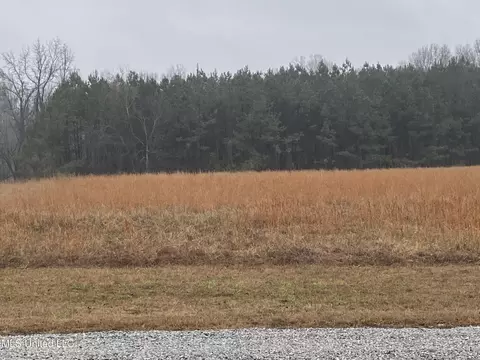 2603 Odom Rd, Hernando, MS 38632