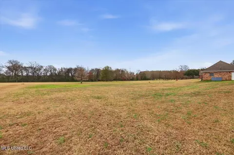Exterior - 298 Quail Holw, Madison, MS 39110 photo 9 of 11