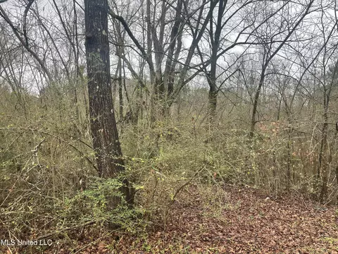 303 E Lake St, Booneville, MS 38829