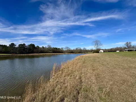 View/Area - 2720 Davis Rd, Terry, MS 39170 photo 4 of 6