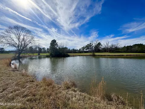 View/Area - 2720 Davis Rd, Terry, MS 39170 photo 5 of 6