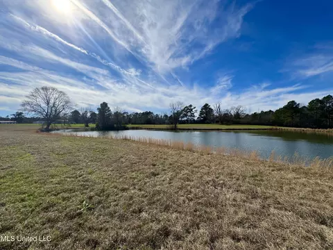 View/Area - 2720 Davis Rd, Terry, MS 39170 photo 6 of 6
