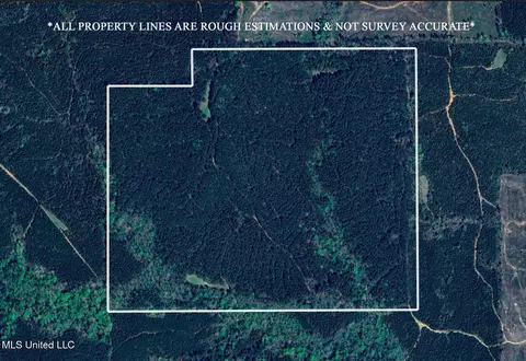 000 Liberty Church Rd, Meridian, MS 39301