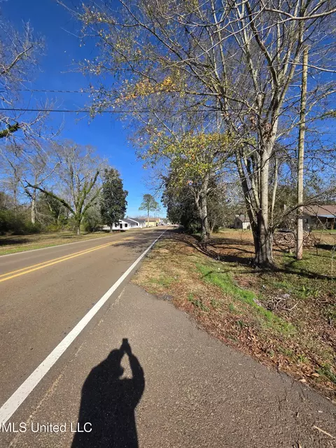 Other - 1079 Beech St, Wesson, MS 39191 photo 6 of 14