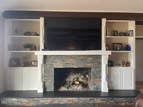 Other - 719 Forest Point Dr, Brandon, MS 39047 photo 3 of 4