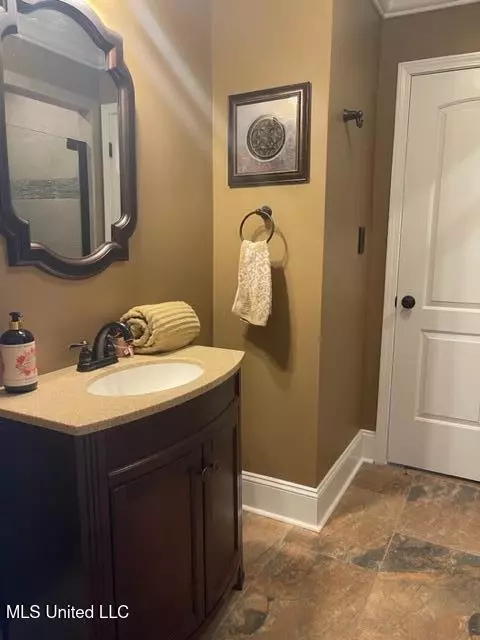 Bath - 719 Forest Point Dr, Brandon, MS 39047 photo 1 of 1