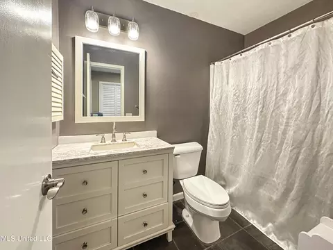 Bath - 349 Lakebend Dr, Brandon, MS 39042 photo 2 of 3