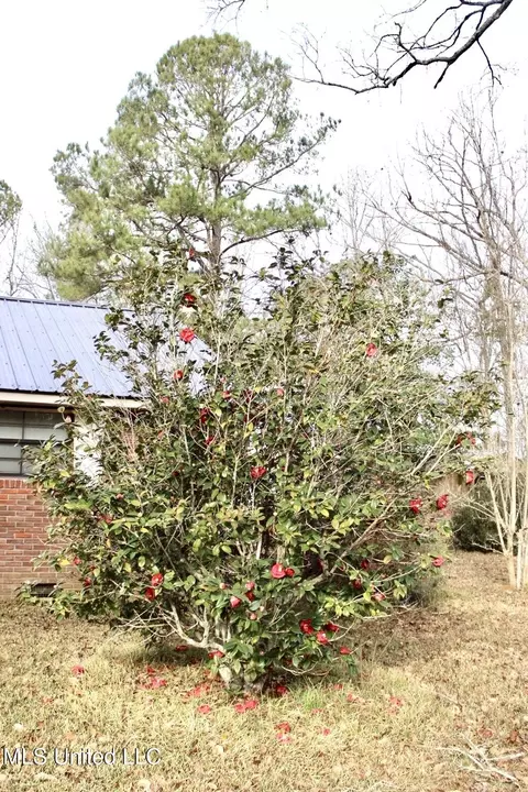 Other - 1646 SW West Lincoln Dr, Brookhaven, MS 39601 photo 6 of 10