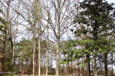 Other - 1646 SW West Lincoln Dr, Brookhaven, MS 39601 photo 2 of 10