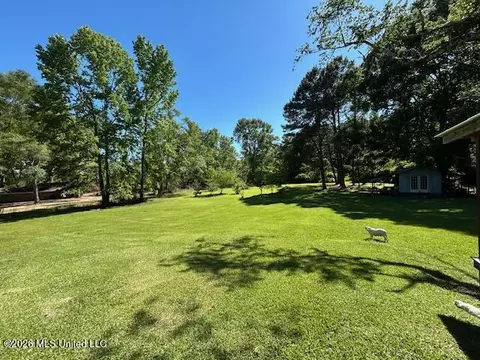 Exterior - 1119 Willis Cotton Rd, Summit, MS 39666 photo 5 of 10