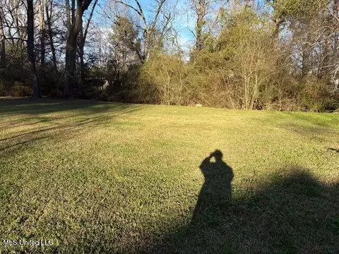 112 Willow Dr, Braxton, MS 39044 photo 5