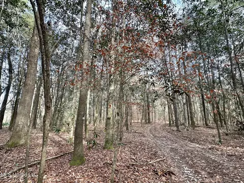 1 Main St, Mendenhall, MS 39114 photo 11