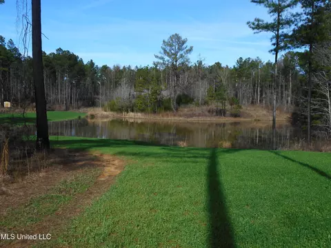 593 Rocky Hill Rd, Pickens, MS 39146