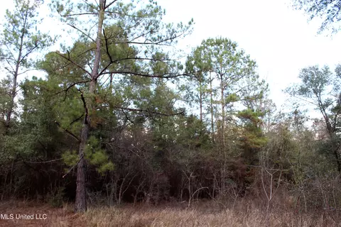 Salem Campground Road, Lucedale, MS 39452 photo 4