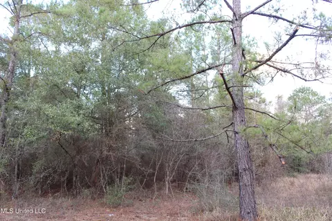 Salem Campground Road, Lucedale, MS 39452 photo 7