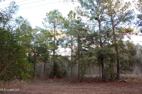 Salem Campground Road, Lucedale, MS 39452 photo 3