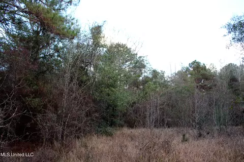 Salem Campground Road, Lucedale, MS 39452 photo 6