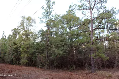 Salem Campground Road, Lucedale, MS 39452 photo 2