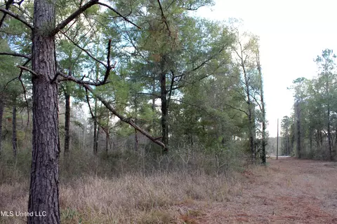 Salem Campground Road, Lucedale, MS 39452 photo 9
