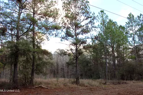 Salem Campground Road, Lucedale, MS 39452