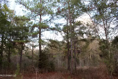 Salem Campground Road, Lucedale, MS 39452 photo 10