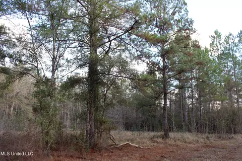Salem Campground Road, Lucedale, MS 39452 photo 11
