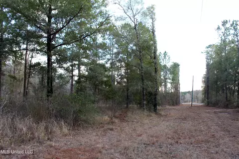 Salem Campground Road, Lucedale, MS 39452 photo 5