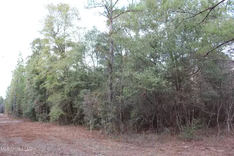 Salem Campground Road, Lucedale, MS 39452 photo 8