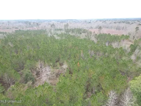 1847 Smith County Road 123, Magee, MS 39111 photo 26