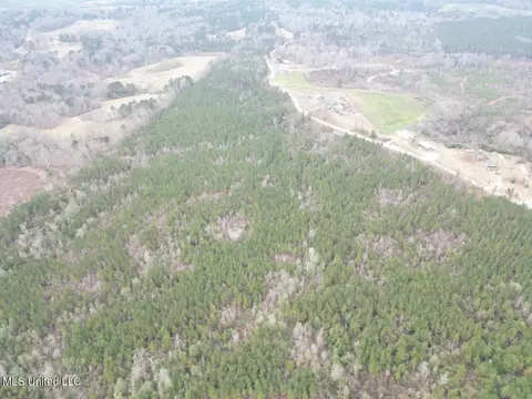 1847 Smith County Road 123, Magee, MS 39111 photo 15