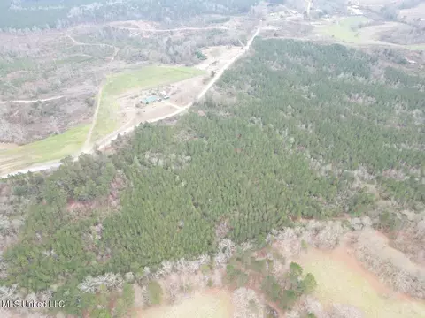 1847 Smith County Road 123, Magee, MS 39111 photo 9