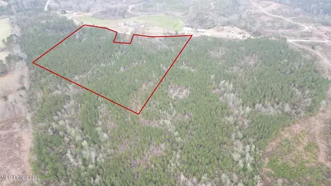 1847 Smith County Road 123, Magee, MS 39111 photo 5