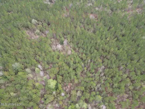 1847 Smith County Road 123, Magee, MS 39111 photo 23