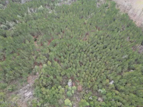 1847 Smith County Road 123, Magee, MS 39111 photo 20