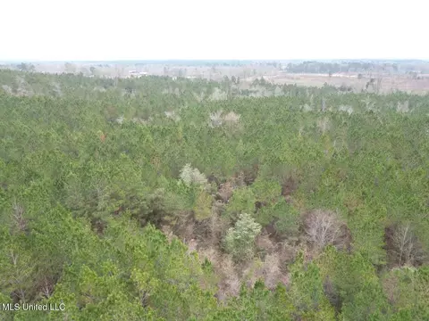 1847 Smith County Road 123, Magee, MS 39111 photo 25