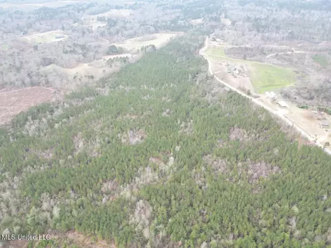 1847 Smith County Road 123, Magee, MS 39111 photo 16