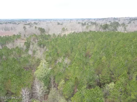 1847 Smith County Road 123, Magee, MS 39111 photo 28