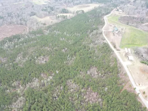 1847 Smith County Road 123, Magee, MS 39111 photo 17