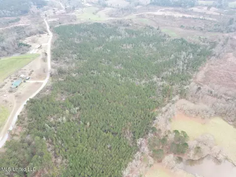 1847 Smith County Road 123, Magee, MS 39111 photo 8